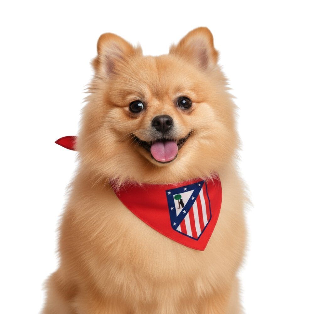 CYP Brands Atlético De Madrid Hundehalsband – Offizielles Vereins-Halsband Mit Clipverschluss (Größe S, Rot)