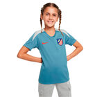 Camiseta Niño Entrenamiento Nike 24/25