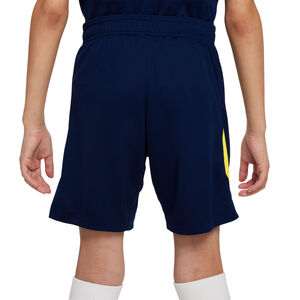 Nike kids 25/26 training shorts