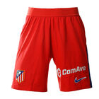 Alternative home 24/25 shorts