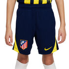 Nike kids 25/26 training shorts