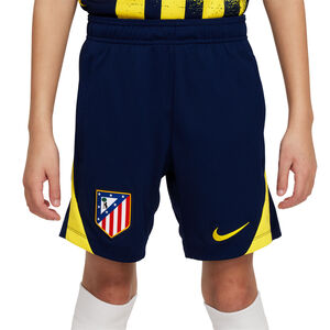 Nike kids 25/26 training shorts