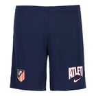 Nike training UEFA 26/27 shorts