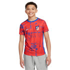 Nike kids prematch training 24/25 t-shirt