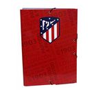 CARPETA A4