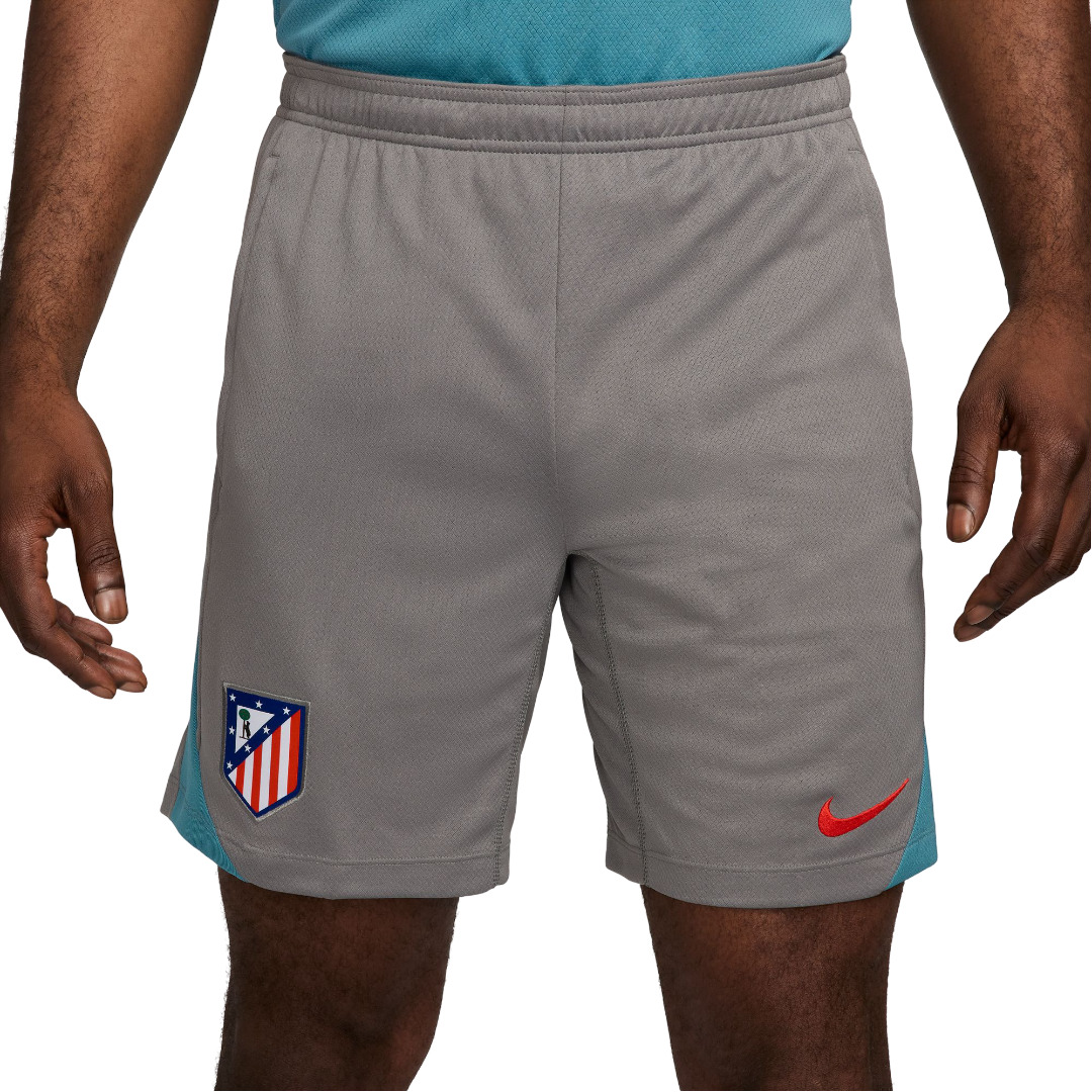 Nike training 24/25 shorts image number null